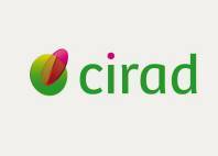 Cirad Logo