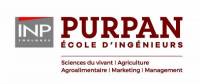 Purpan Logo