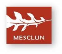 Mesclun logo