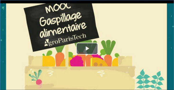 MOOC Gaspillage Alimentaire